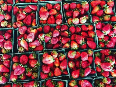 Strawberries at Jaemor Farm Strawberries at Jaemor Farms