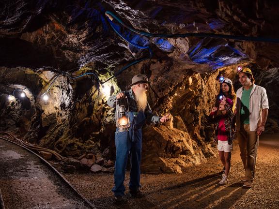 Consolidated Gold Mines in Dahlonega