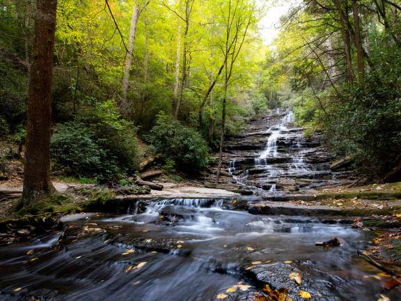 A waterfall surrounded by river rocks and trees.