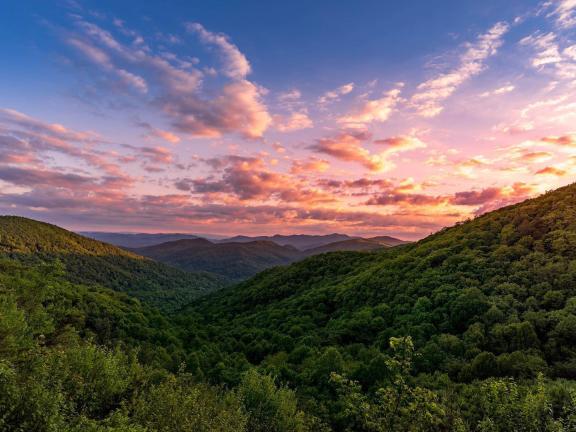 Hogpen Gap on the Appalchian Trail in the North Georgia mountains. Photo by @trevorjonesphoto