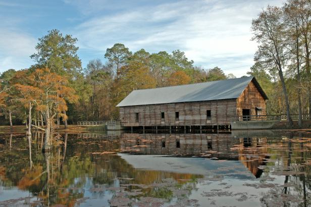 George L. Smith State Park