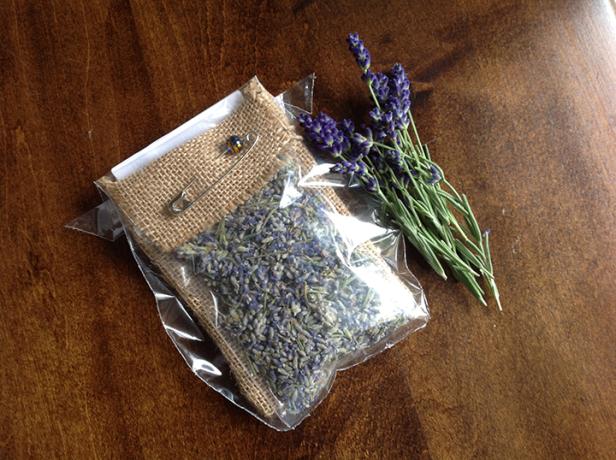 Lavender at White Hills Farm in Thomson, Georgia