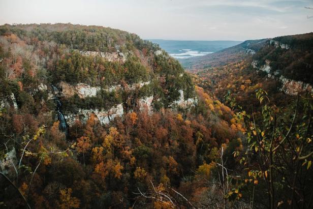 Cloudland Canyon State Park in Rising Fawn, Georgia. Photo by Savannah Avril, @emberwolves