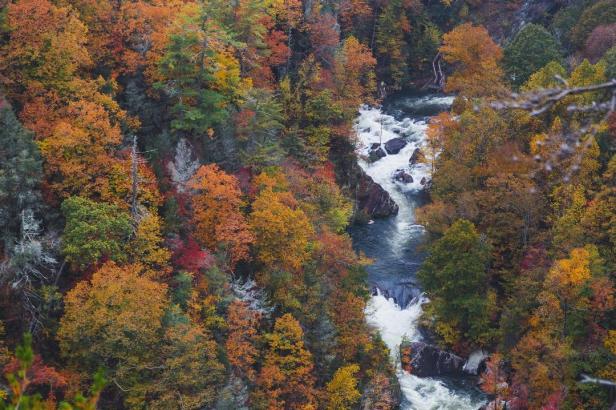 Tallulah Gorge State Park near Clayton, Georgia. Photo by The Great Outdoors Photo