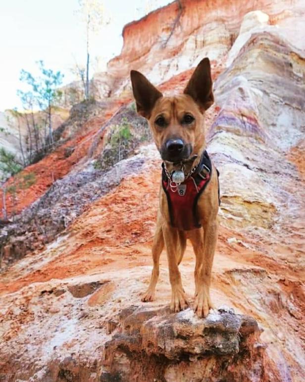 Providence Canyon State Park in Lumpkin, Georgia. Photo by @chillinwithchase
