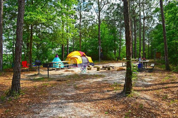 Campsite at Reed Bingham State Park in Adel, Georgia