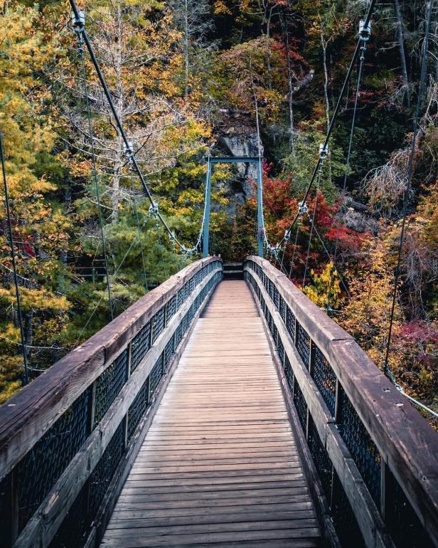 Tallulah Gorge State Park. Photo by Steven Thomas, @steventhomasphotography