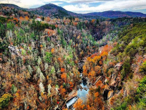 Fall at Tallulah Gorge State Park in Tallulah Falls, Georgia. Photo by Shane M. Sims, @yinandshane