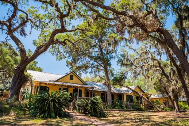 Little St. Simons Island