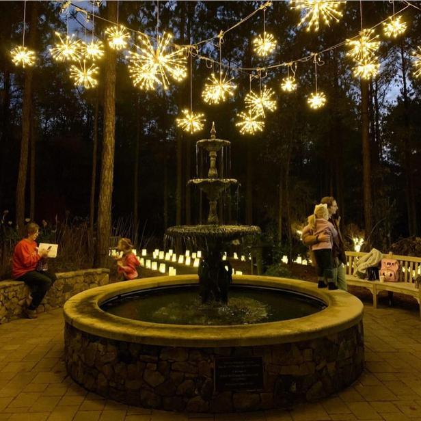 Holiday lights in the Columbus Botanical Garden in Columbus, Georgia
