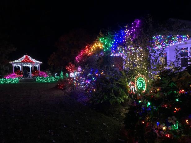 Holiday lights at Coastal Georgia Botanical Gardens in Savannah, Georgia