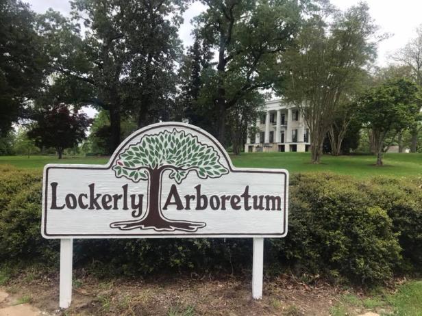 Lockerly Arboretum in Milledgeville, Georgia
