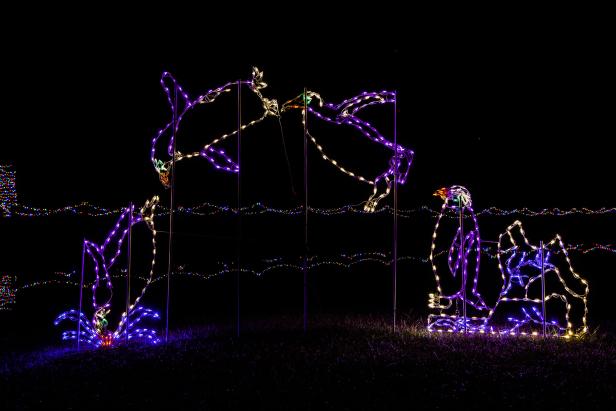 Penguin light display at Lockerly in Lights in Milledgeville, Georgia