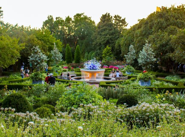 Dale Chihuly sculpture at Atlanta Botanical Garden