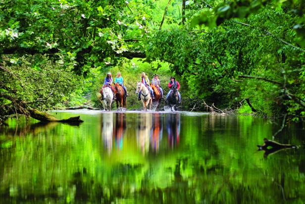 5 people ride 5 horses in the river surrounded by green trees