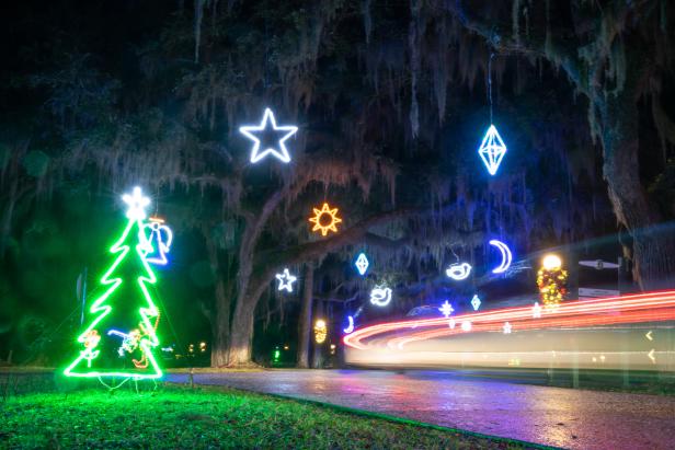 trees and star christmas lights lit up at night