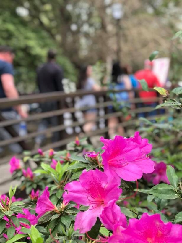 Top Spring Festivals in