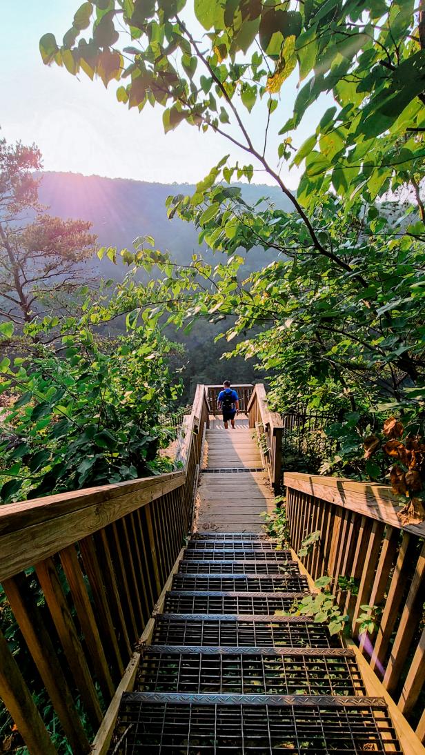 Man going down the stairs at Cloudland Canyon in Rising Fawn, Georgia. Photo by @thewayweroam