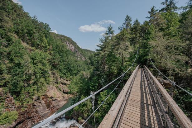 A swinging bridge at Tallulah Gorge State Park in Tallulah Falls, Georgia, reaches from the foreground of the photo to a dark forest of trees farther into the background of the photo. The bridge is framed to the right of the photo, and to the left is a rushing creek and cliffside littered with green shrubbery and trees. The whole scene is under a dusty-blue sky.