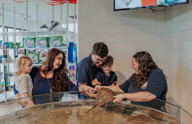 Family touring a marine wildlife center