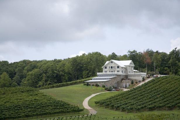 Vineyards and winery at Frogtown Cellars in Dahlonega, Georgia