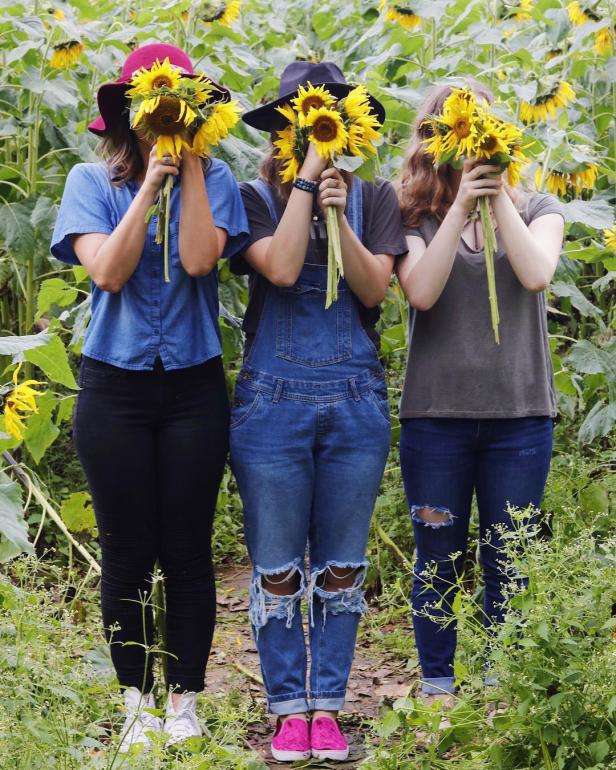 Fausett Farms Sunflowers in Dawsonville, Georgia. Photo by @chamberlainlockett