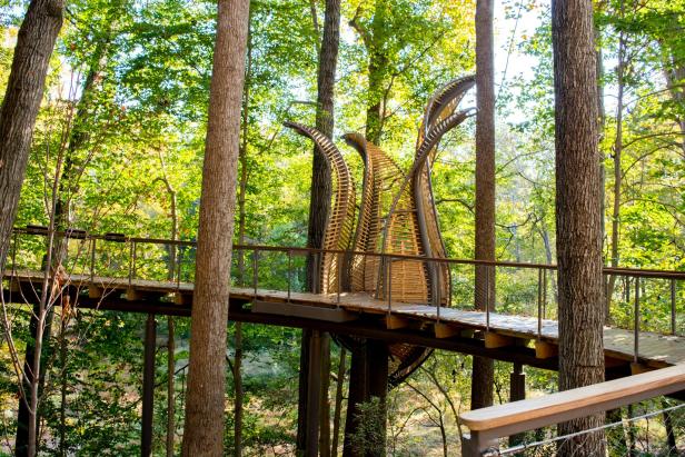 WildWoods at Fernbank in Atlanta, Georgia