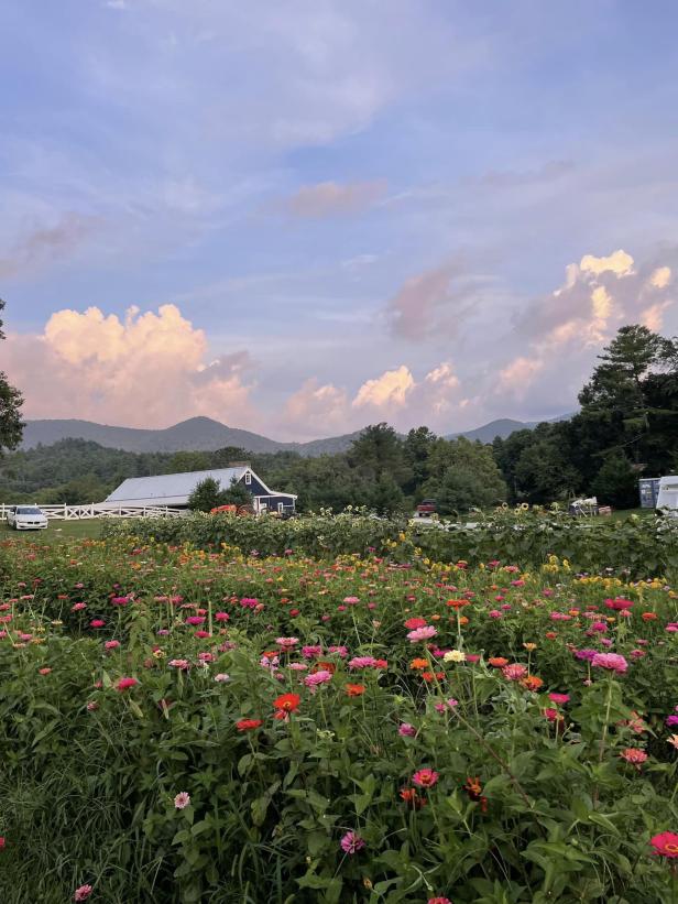 Julep Farms in Dillard, Georgia