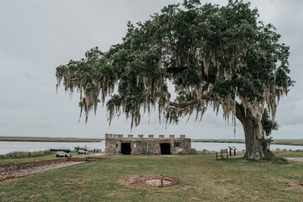 Fort Frederica and tree