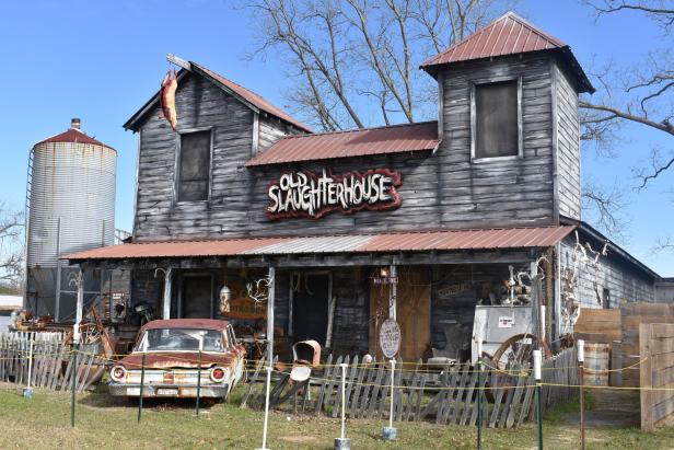 Haunted Montrose near Dublin, Georgia