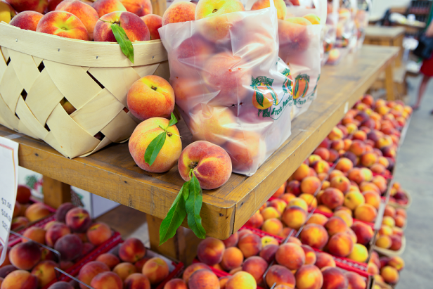 Peaches at Mercier Orchards