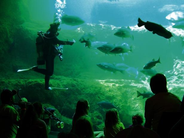 Flint RiverQuarium in Albany, Georgia