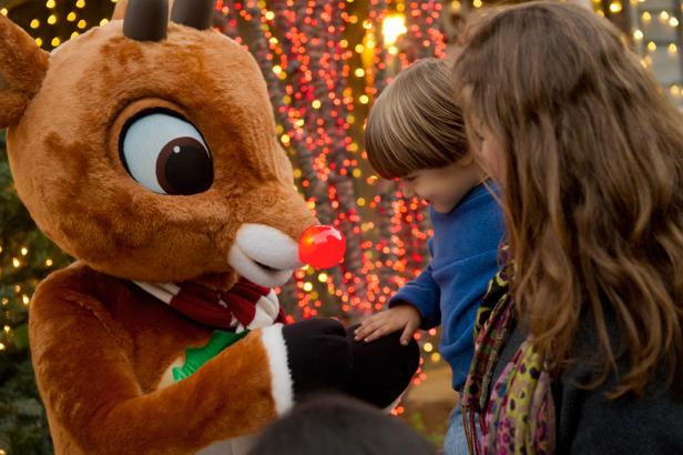 Rudolph at Stone Mountain