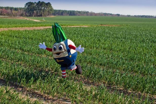 Vidalia Onion Festival