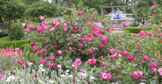 Atlanta Botanical Garden