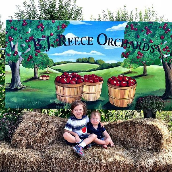 Two boys pose in front of a picture of apples in the orchard at B.J. Reece Orchards in Ellijay, Georgia