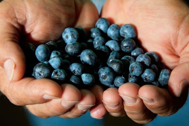 blueberries