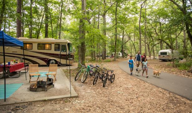 Camping at Skidaway Island State Park