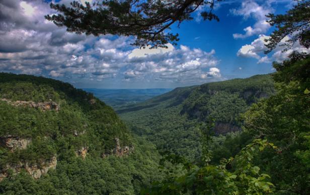 Cloudland Canyon State Park