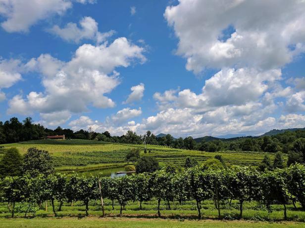 Crane Creek Vineyards in Young Harris, Georgia