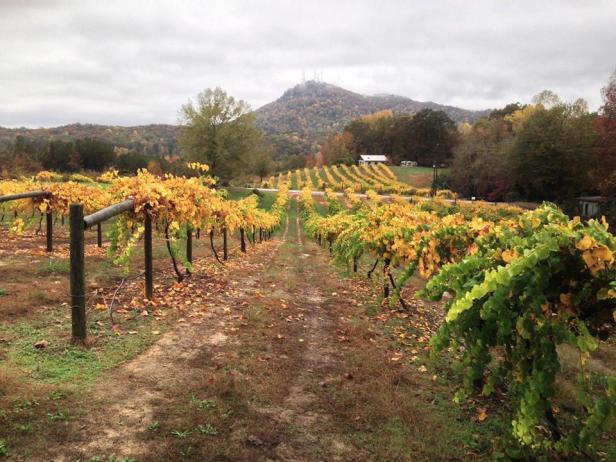 Currahee Vineyard & Winery in Toccoa, Georgia