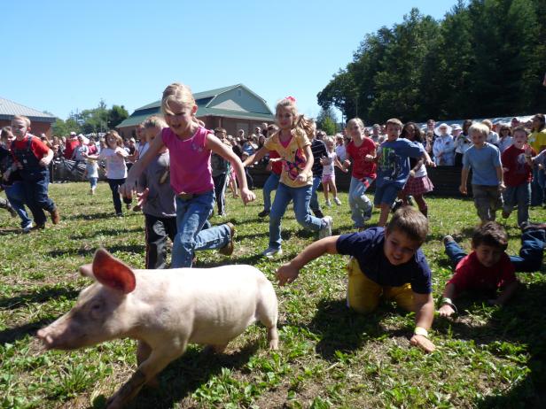 Foxfire Mountaineer Festival in Mountain City, Georgia