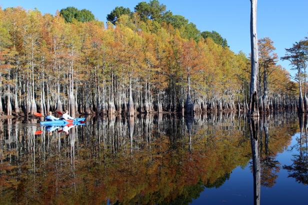 Kayaking at George L. Smith State Park in Twin City, Georgia