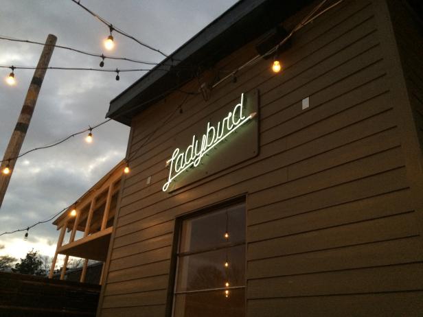 Ladybird along the Atlanta BeltLine