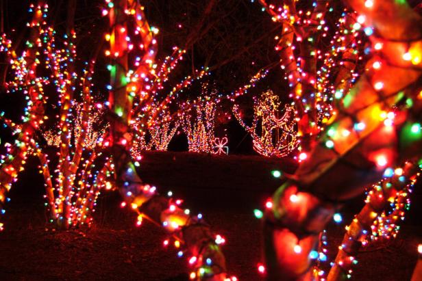 Magical Nights of Lights at Lanier Islands