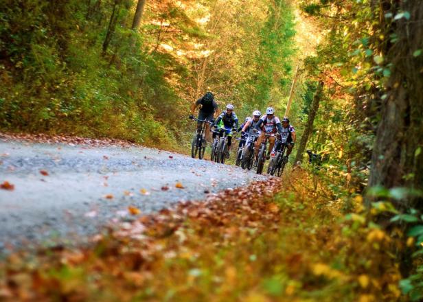 Mountain biking at Mulberry Gap Mountain Bike Getaway in Ellijay. Joe Cattoni, Regular Joe Photography