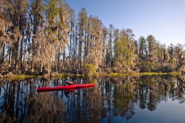 Kayaking in the Okefenokee Swamp