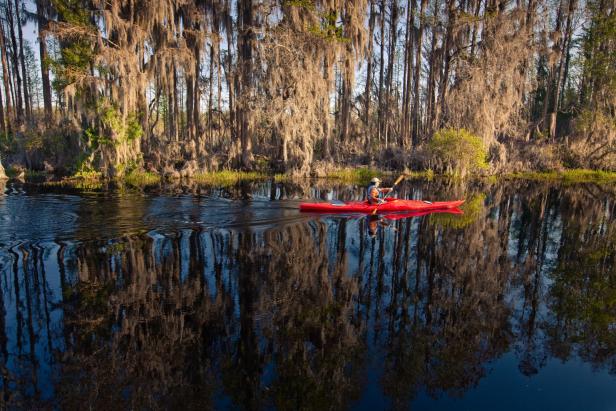 Okefenokee National Wildlife Refuge