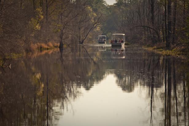 Okefenokee Swamp Boats