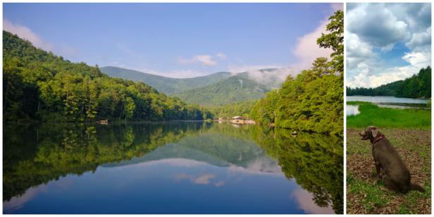 Vogel State Park